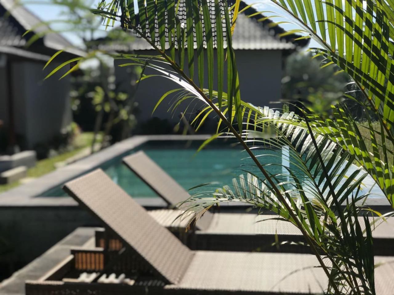 Paraiso Cottage Ubud エクステリア 写真