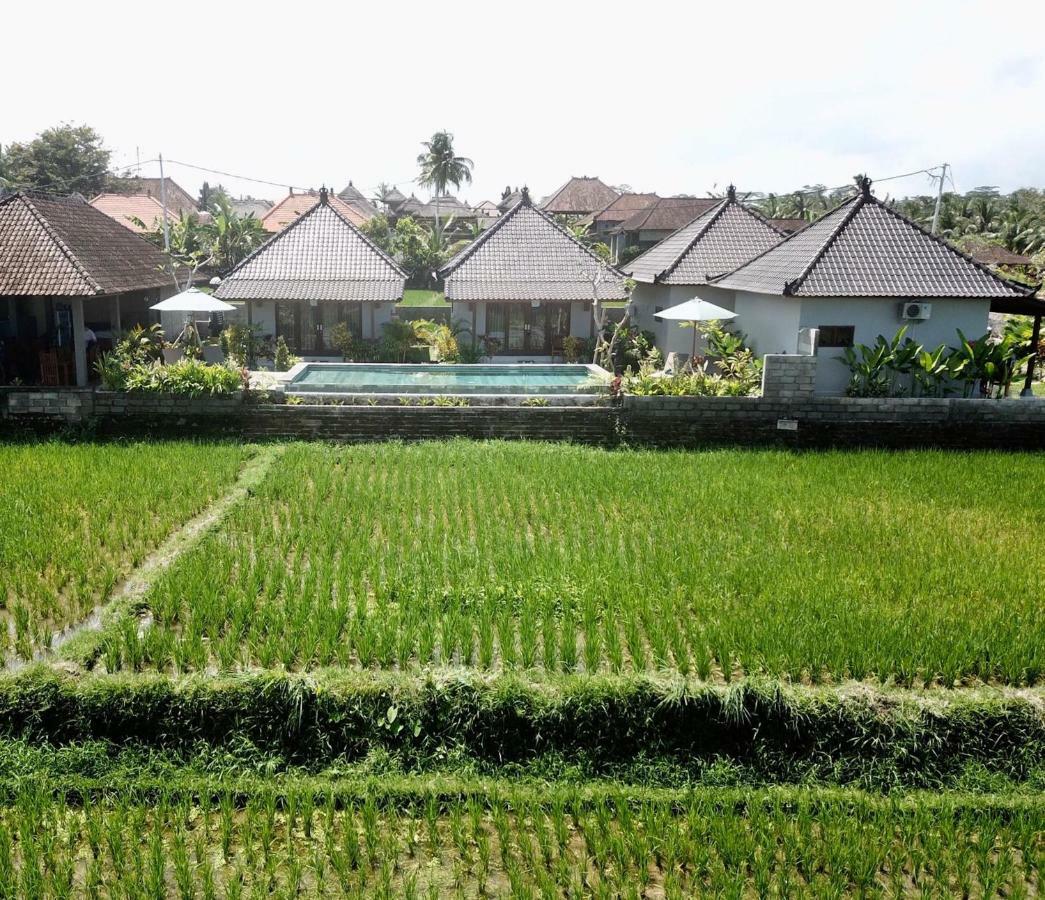 Paraiso Cottage Ubud エクステリア 写真