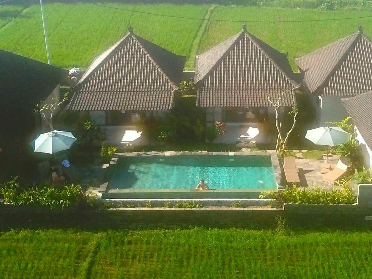 Paraiso Cottage Ubud エクステリア 写真