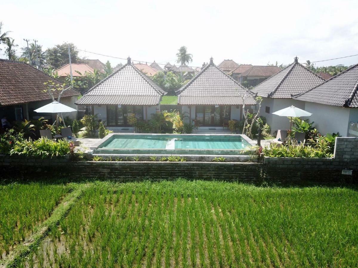 Paraiso Cottage Ubud エクステリア 写真